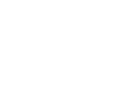 合作品牌 31